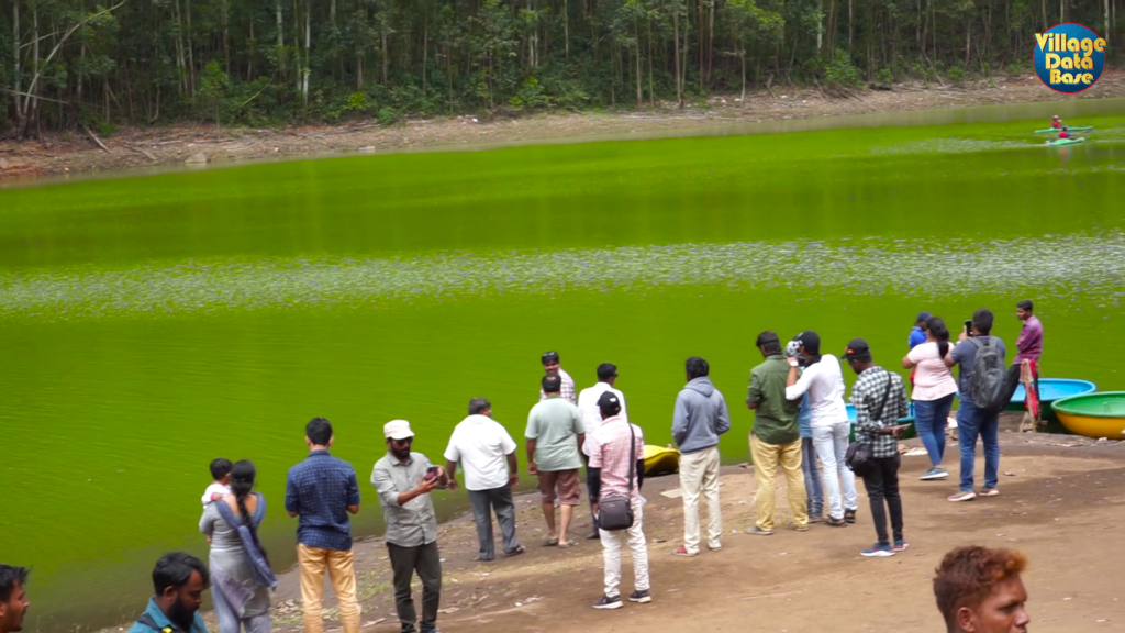 மூணார் 250 ரூபாய்பஸ்சுற்றுலா
