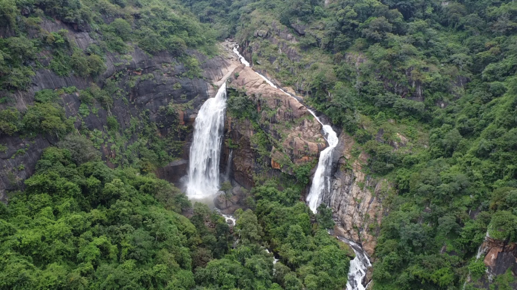 மூலிகைகளின்ராணிகொல்லிமலைசுற்றுலா