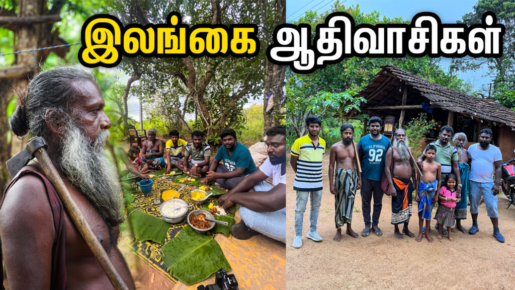 இலங்கையில் உள்ள ஆதிவாசிகள் ஒரு கண்ணோட்டம்