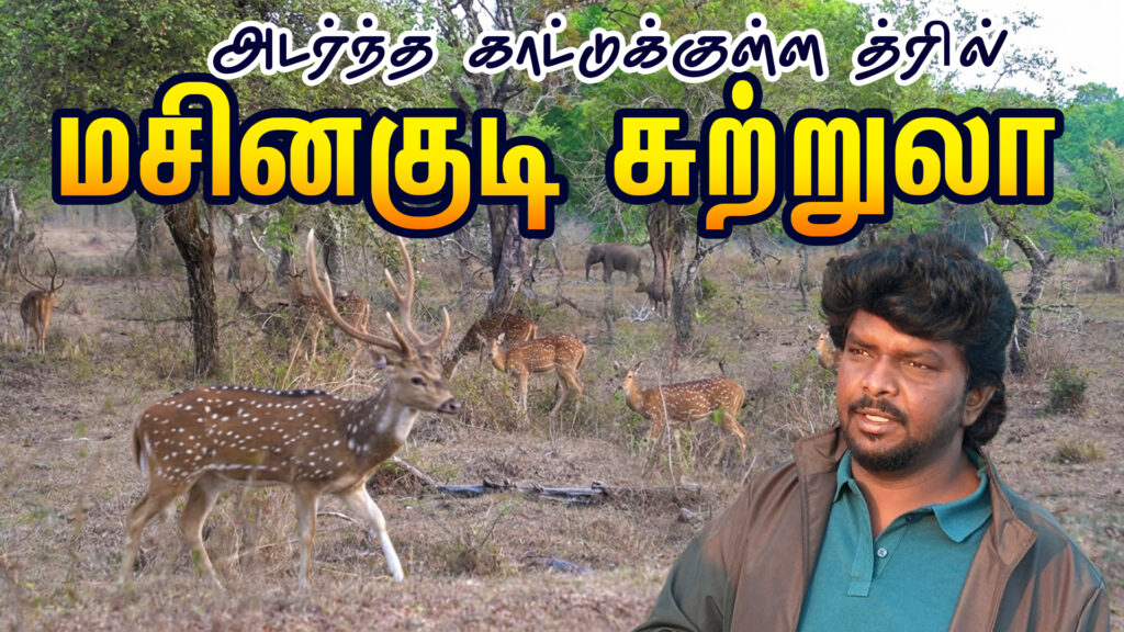 மசினகுடி பயணம்